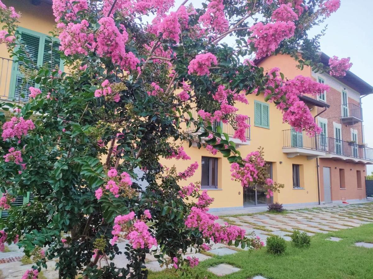 Villa Albina La Loggia Экстерьер фото